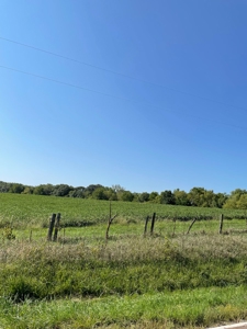 Sold!! Tract 2 Pyatt Buchanan County Missouri Land Auction - image 11