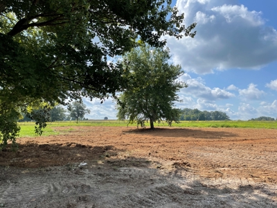 8.55 Acres Offered in 3 Tracts in Warren Co. Kentucky - image 7