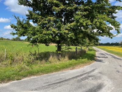 8.55 Acres Offered in 3 Tracts in Warren Co. Kentucky - image 2