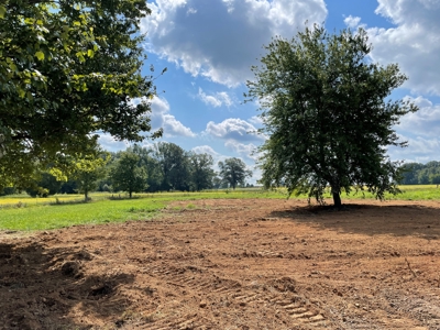 8.55 Acres Offered in 3 Tracts in Warren Co. Kentucky - image 8
