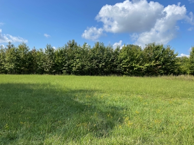 8.55 Acres Offered in 3 Tracts in Warren Co. Kentucky - image 23