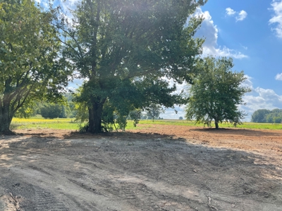8.55 Acres Offered in 3 Tracts in Warren Co. Kentucky - image 20