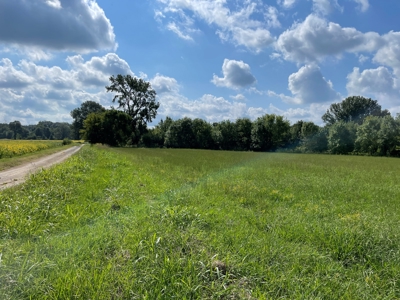 8.55 Acres Offered in 3 Tracts in Warren Co. Kentucky - image 25