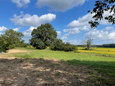 8.55 Acres Offered in 3 Tracts in Warren Co. Kentucky - image 11