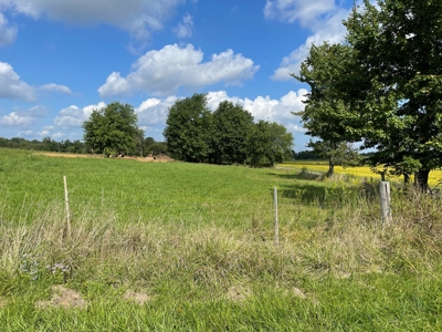 8.55 Acres Offered in 3 Tracts in Warren Co. Kentucky - image 1