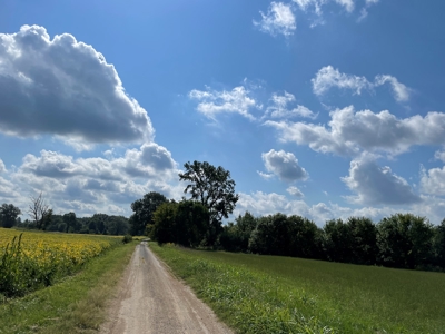 8.55 Acres Offered in 3 Tracts in Warren Co. Kentucky - image 28