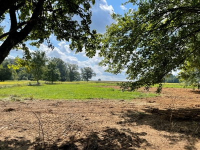 8.55 Acres Offered in 3 Tracts in Warren Co. Kentucky - image 21