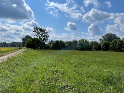 8.55 Acres Offered in 3 Tracts in Warren Co. Kentucky - image 27