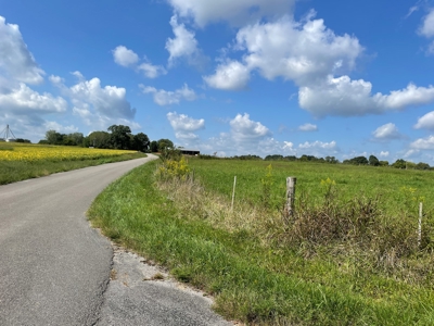 8.55 Acres Offered in 3 Tracts in Warren Co. Kentucky - image 4