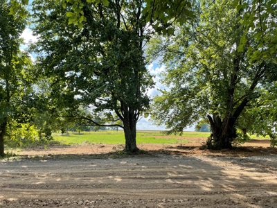 8.55 Acres Offered in 3 Tracts in Warren Co. Kentucky - image 6