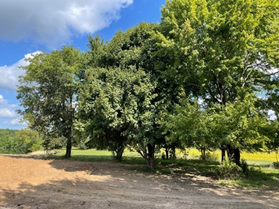 8.55 Acres Offered in 3 Tracts in Warren Co. Kentucky - image 9