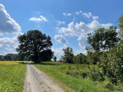 8.55 Acres Offered in 3 Tracts in Warren Co. Kentucky - image 30