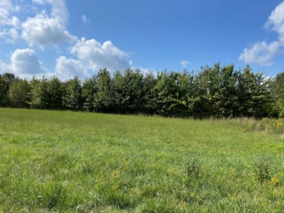 8.55 Acres Offered in 3 Tracts in Warren Co. Kentucky - image 24