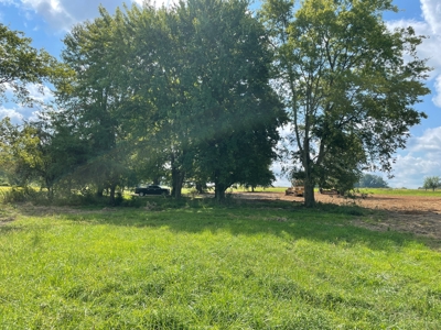 8.55 Acres Offered in 3 Tracts in Warren Co. Kentucky - image 19