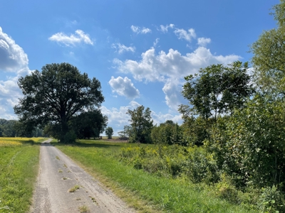 8.55 Acres Offered in 3 Tracts in Warren Co. Kentucky - image 29