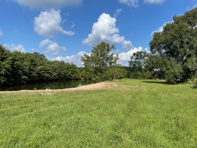 8.55 Acres Offered in 3 Tracts in Warren Co. Kentucky - image 17