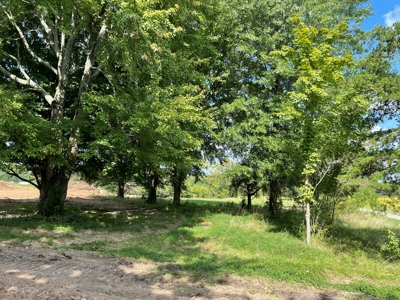 8.55 Acres Offered in 3 Tracts in Warren Co. Kentucky - image 5