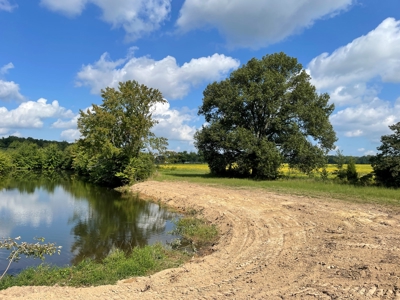 8.55 Acres Offered in 3 Tracts in Warren Co. Kentucky - image 14