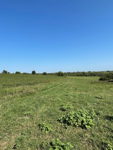 Sold!! Tract 3 Pyatt Buchanan County Missouri Land Auction - image 11
