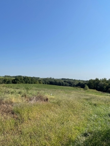 Sold!! Tract 3 Pyatt Buchanan County Missouri Land Auction - image 15