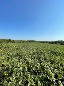 Sold!! Tract 3 Pyatt Buchanan County Missouri Land Auction - image 2