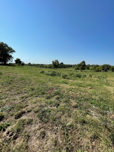 Sold!! Tract 3 Pyatt Buchanan County Missouri Land Auction - image 24
