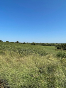 Sold!! Tract 3 Pyatt Buchanan County Missouri Land Auction - image 8