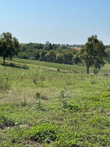 Sold!! Tract 3 Pyatt Buchanan County Missouri Land Auction - image 26