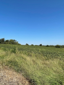 Sold!! Tract 3 Pyatt Buchanan County Missouri Land Auction - image 7