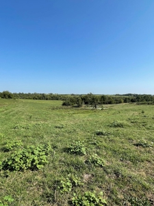 Sold!! Tract 3 Pyatt Buchanan County Missouri Land Auction - image 10