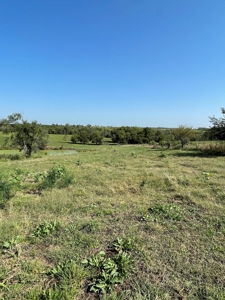 Sold!! Tract 3 Pyatt Buchanan County Missouri Land Auction - image 13