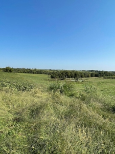 Sold!! Tract 3 Pyatt Buchanan County Missouri Land Auction - image 9