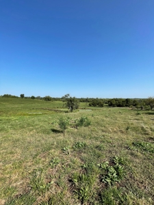 Sold!! Tract 3 Pyatt Buchanan County Missouri Land Auction - image 14