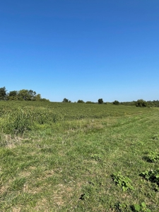 Sold!! Tract 3 Pyatt Buchanan County Missouri Land Auction - image 12