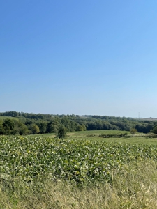 Sold!! Tract 3 Pyatt Buchanan County Missouri Land Auction - image 3