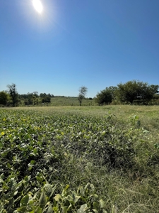 Sold!! Tract 3 Pyatt Buchanan County Missouri Land Auction - image 19