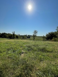 Sold!! Tract 3 Pyatt Buchanan County Missouri Land Auction - image 20