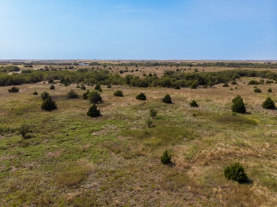 Foss Lake Land for Sale Custer County, OK - Tract #1 - image 5