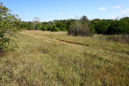 Woodland Grassland at Auction Recreational & Hunting, Carney - image 21