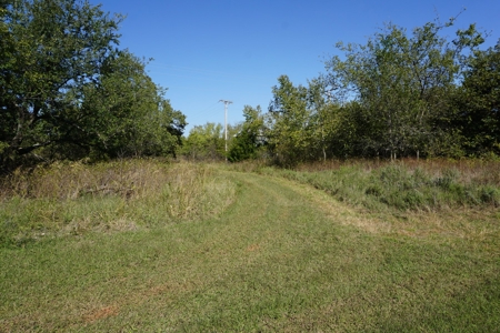 Woodland Grassland at Auction Recreational & Hunting, Carney - image 9