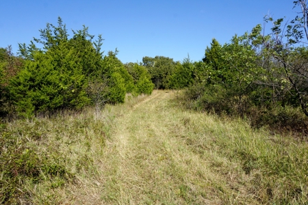 Woodland Grassland at Auction Recreational & Hunting, Carney - image 32