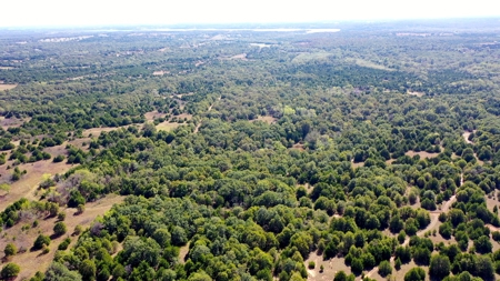 Woodland Grassland at Auction Recreational & Hunting, Carney - image 33