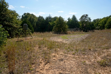 Woodland Grassland at Auction Recreational & Hunting, Carney - image 25