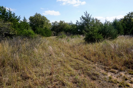 Woodland Grassland at Auction Recreational & Hunting, Carney - image 5