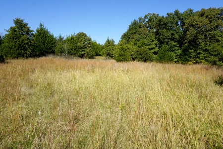 Woodland Grassland at Auction Recreational & Hunting, Carney - image 15