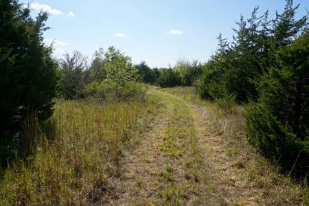 Woodland Grassland at Auction Recreational & Hunting, Carney - image 29