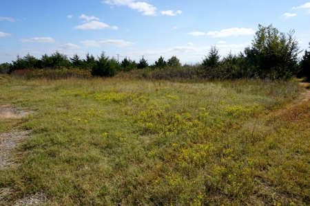 Woodland Grassland at Auction Recreational & Hunting, Carney - image 7