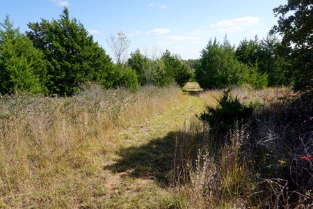 Woodland Grassland at Auction Recreational & Hunting, Carney - image 16