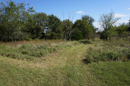 Woodland Grassland at Auction Recreational & Hunting, Carney - image 10