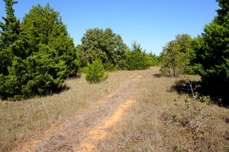 Woodland Grassland at Auction Recreational & Hunting, Carney - image 27